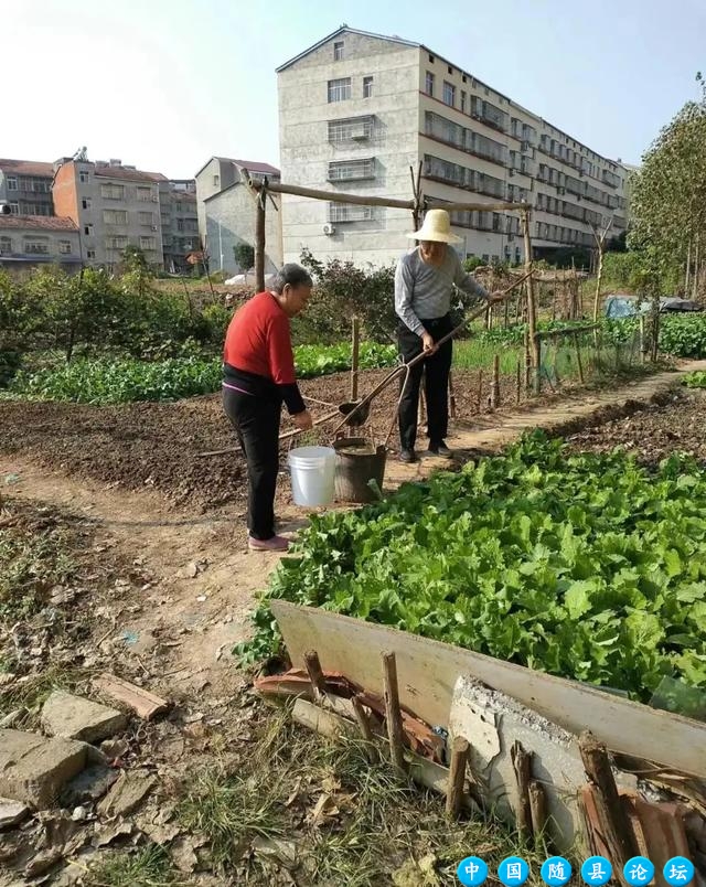 家乡风采随县作者胡占军