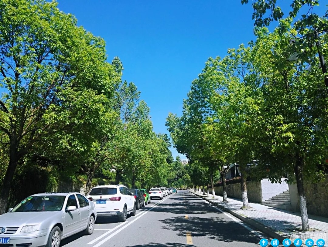 我劝你来随州过一次夏天！