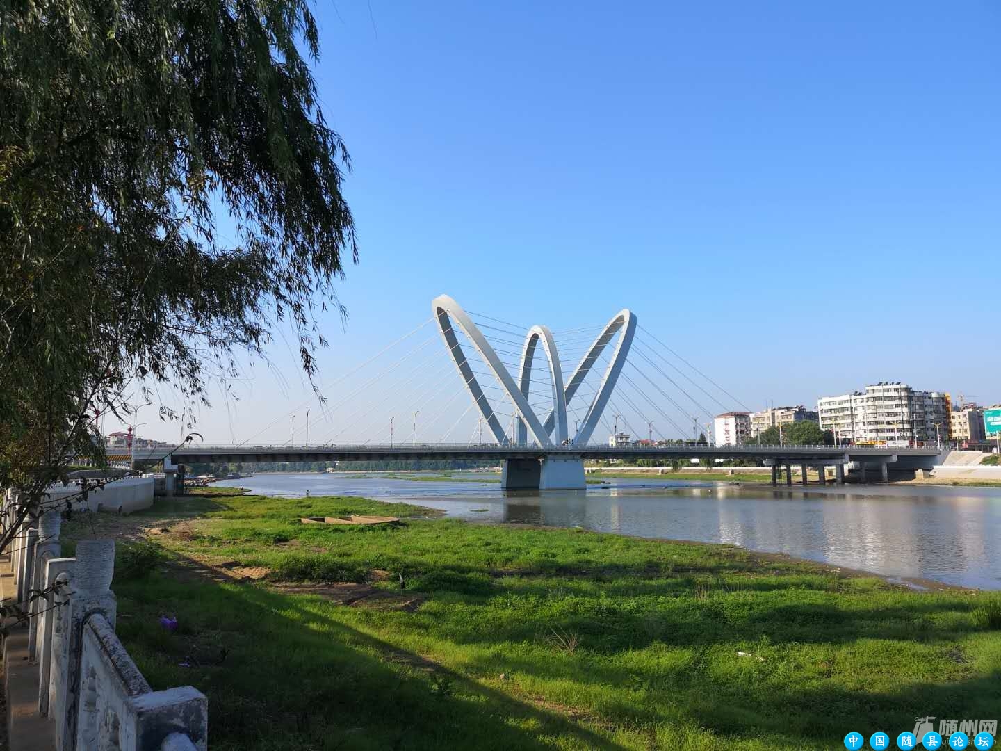 我劝你来随州过一次夏天！