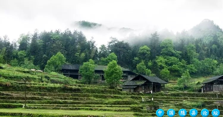 【美文美声】高城烟雨