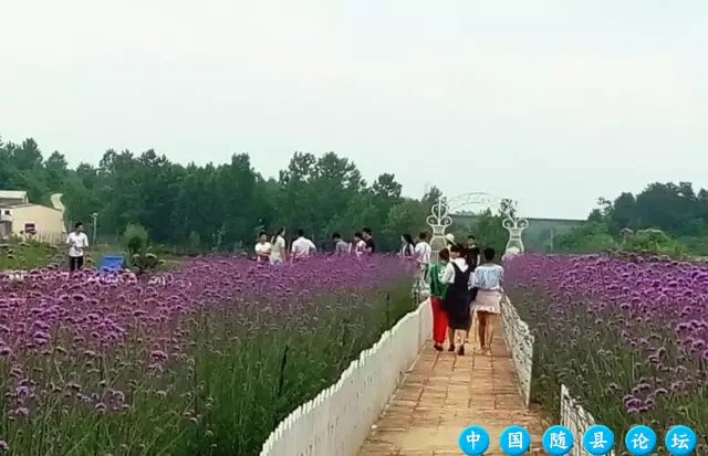 【寻觅】从打工妹到老板，这个女人用20年为随州人打造了一个“花花世界”