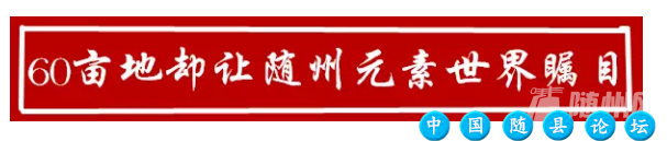 随州骄傲！欧美、日韩、东南亚...都有他的作品广为流传！