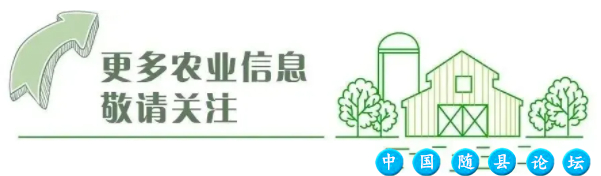 湖北省农业农村厅关于公开遴选乡村产业振兴带头人培育 “头雁”项目培育机构的通知