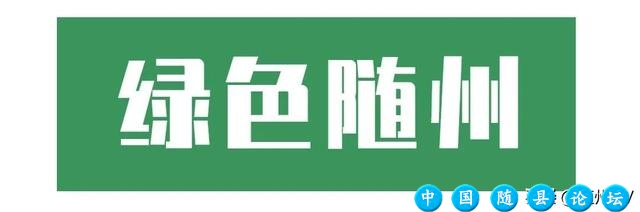 这里是随州！要给点“颜色”你瞧瞧