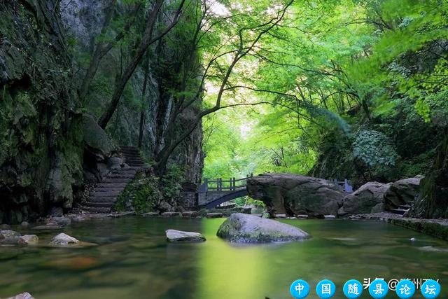 这里是随州！要给点“颜色”你瞧瞧