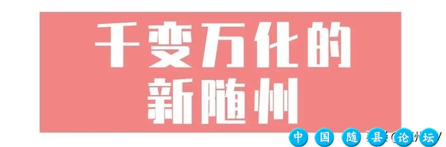 这里是随州！要给点“颜色”你瞧瞧