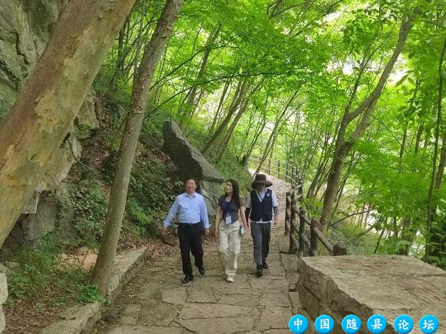 探秘古韵，解锁随州神农部落的桐柏山岩画之谜