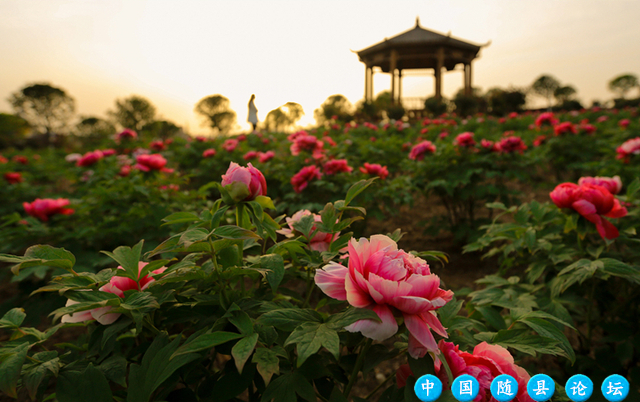 免费门票！春节假期可用！抢湖北文旅惠民券～