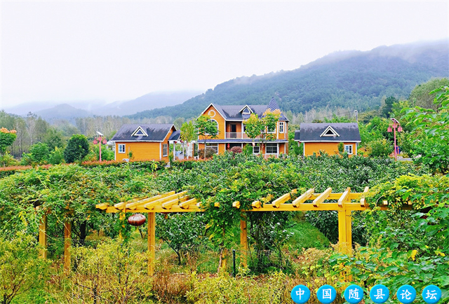 免费门票！春节假期可用！抢湖北文旅惠民券～