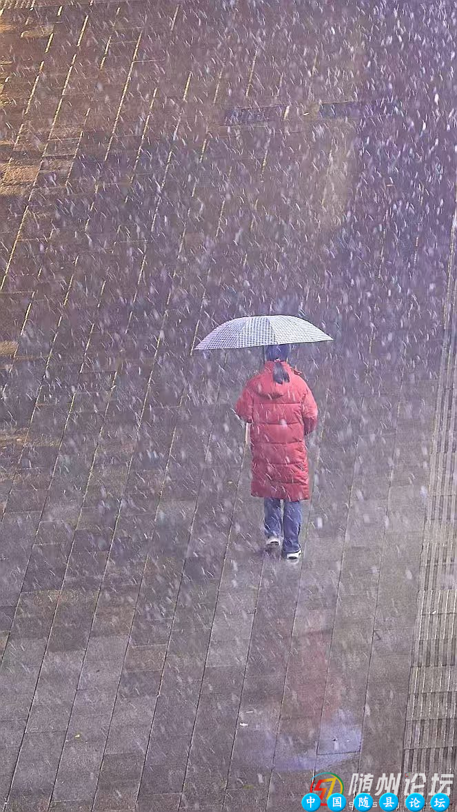 随州初雪夜 归人暖街景