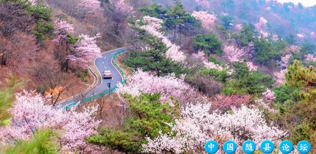 DeepSeek说：随州大洪山风景区宜相见！