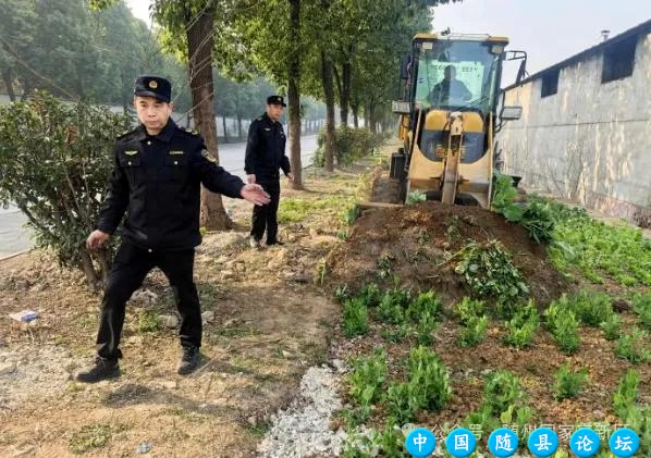 随州高新区：整治违规占绿毁绿，助力人居环境提升