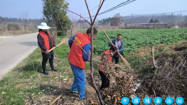 澴潭镇：学雷锋、净家园