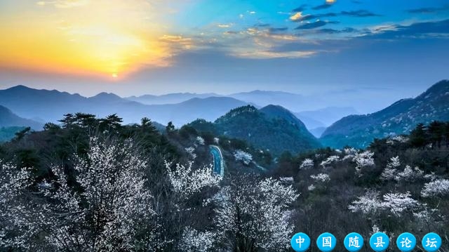 穿越千年祈福地，遇见十万野樱花！随州大洪山风景区邀你共赴浪漫之约樱花季,春日赏樱,浪漫徒步活动,文化体验