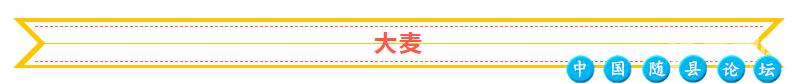 3月20日开抢！华语天后·寻根随州演唱会抢票攻略来了！张靓颖,黄绮珊,希林娜依·高,周蕙